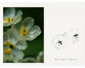 Original-design-Silver-Flower-Stud-earring-crystal (8)